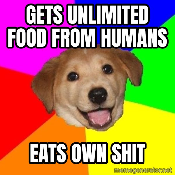 Advice Dog meme: gets unlimited food from humans / eats own shit