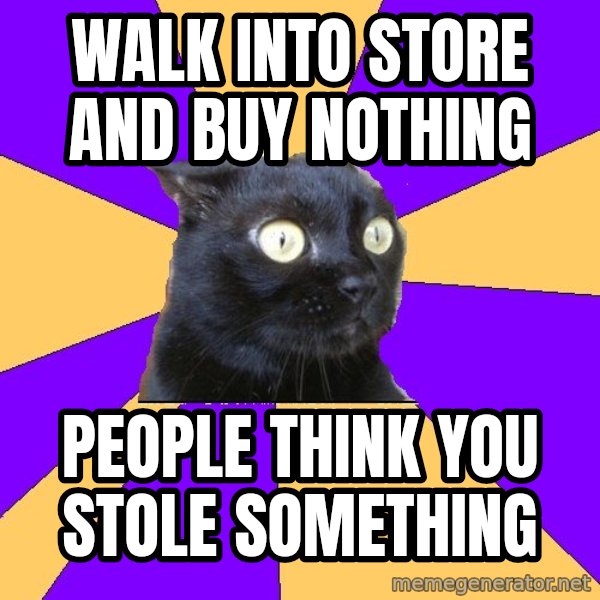Anxiety Cat meme: walk into store and buy nothing / people think you stole something