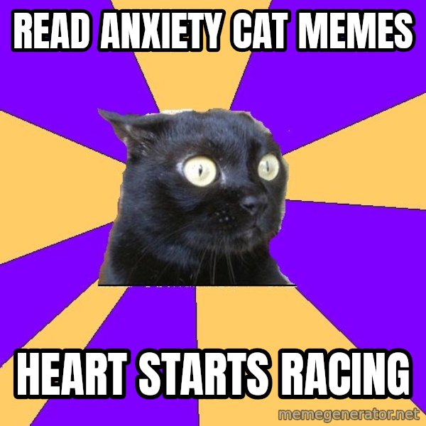 Anxiety Cat meme: read anxiety cat memes / heart starts racing