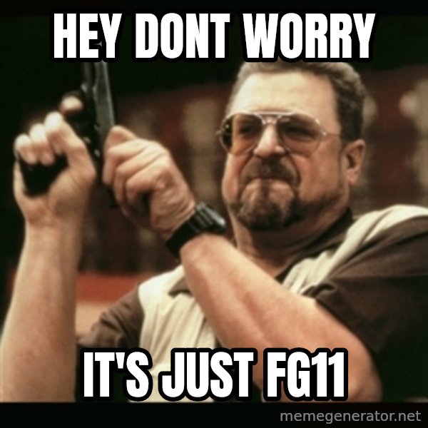 am i the only one around here meme: Hey Dont Worry / It's just FG11