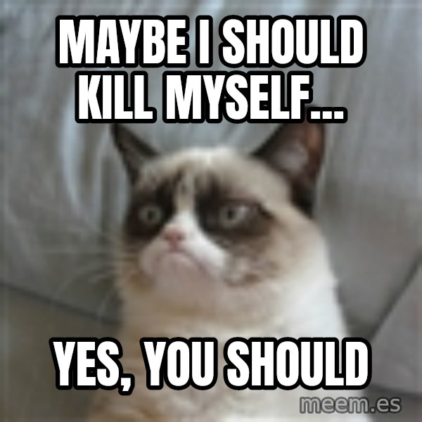 Grumpy Cat ={ meme: MAYBE I SHOULD KILL MYSELF... / YES, YOU SHOULD