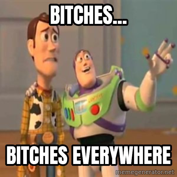 X, X Everywhere  meme: Bitches... / Bitches everywhere