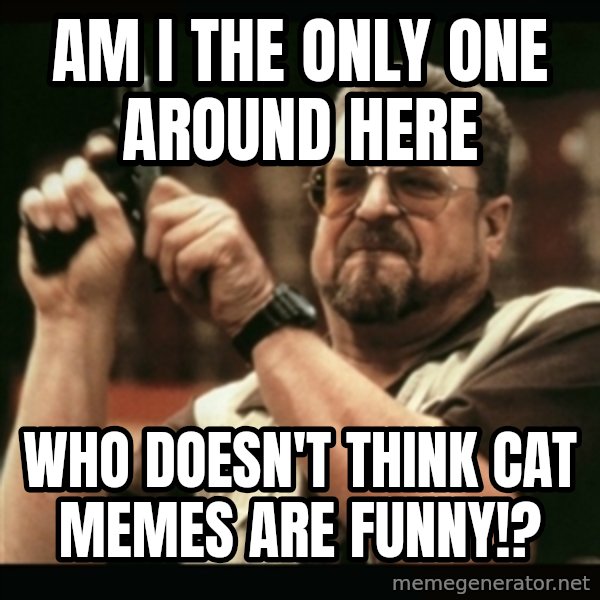 am i the only one around here meme: AM I THE ONLY ONE AROUND HERE / WHO DOESN'T THINK CAT MEMES ARE FUNNY!?