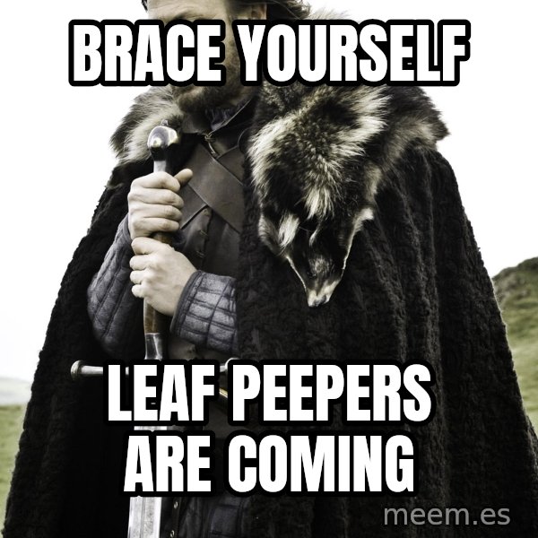 Brace Yourself Meme meme: Brace Yourself / Leaf peepers are coming