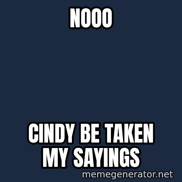 Walrus meme: NOOO / CINDY BE TAKEN MY SAYINGS