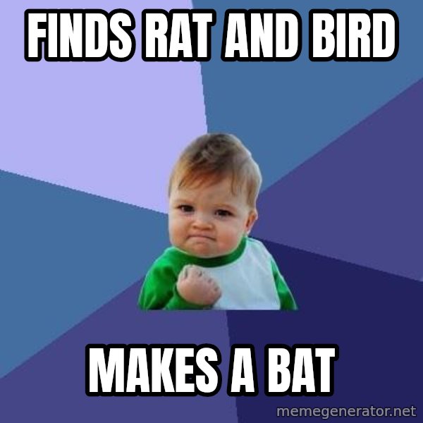 Success Kid meme: Finds Rat and Bird / Makes a bat