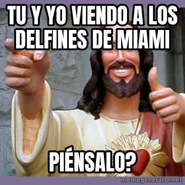 buddy jesus meme: TU Y YO VIENDO A LOS DELFINES DE MIAMI / PIÉNSALO?