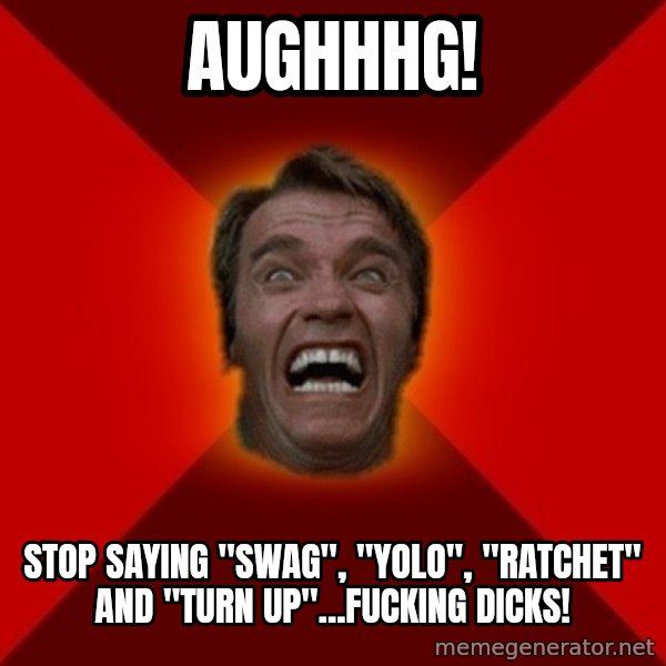 Angry Arnold meme: AUGHHHG! / Stop saying "swag", "YOLO", "Ratchet" and "Turn up"...Fucking dicks!