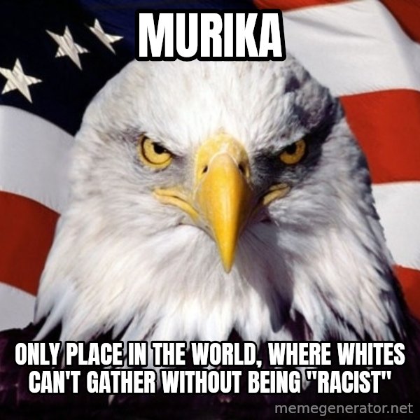 American Pride Eagle meme: murika / only place in the world, where whites can't gather without being "racist"