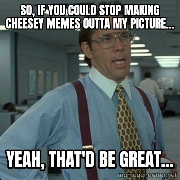 Yeah that'd be great... meme: So, If you could stop making cheesey memes outta my picture... / Yeah, That'd be great...