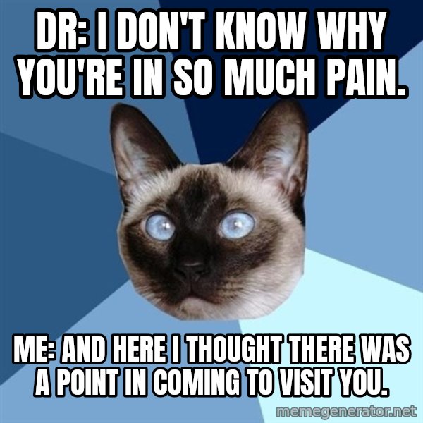Chronic Illness Cat meme: Dr: I don't know why you're in so much pain. / Me: And here I thought there was a point in coming to visit you.