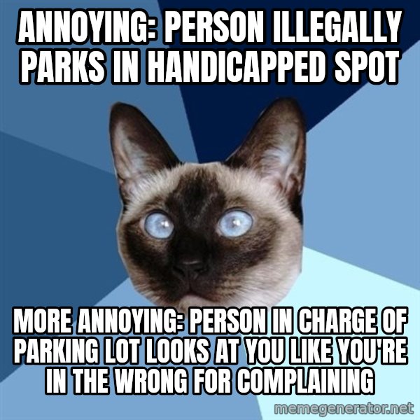 Chronic Illness Cat meme: Annoying: person illegally parks in handicapped spot / More annoying: person in charge of parking lot looks at you like you're in the wrong  for complaining