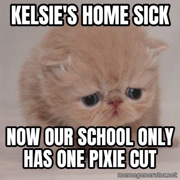 Sadcat meme: Kelsie's Home sick / Now our school only has one pixie cut