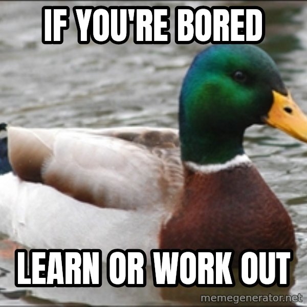 Actual Advice Mallard 1 meme: IF You're bored / learn or work out