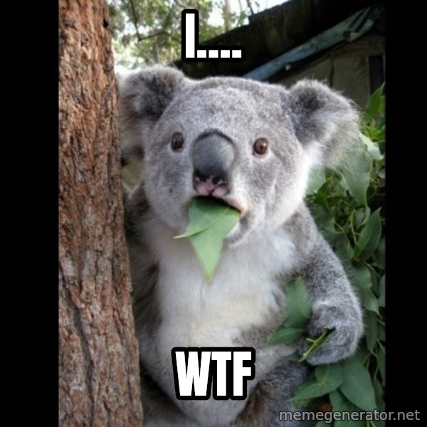 Koala can't believe it meme: I.... / Wtf