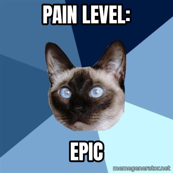 Chronic Illness Cat meme: Pain level: / epic