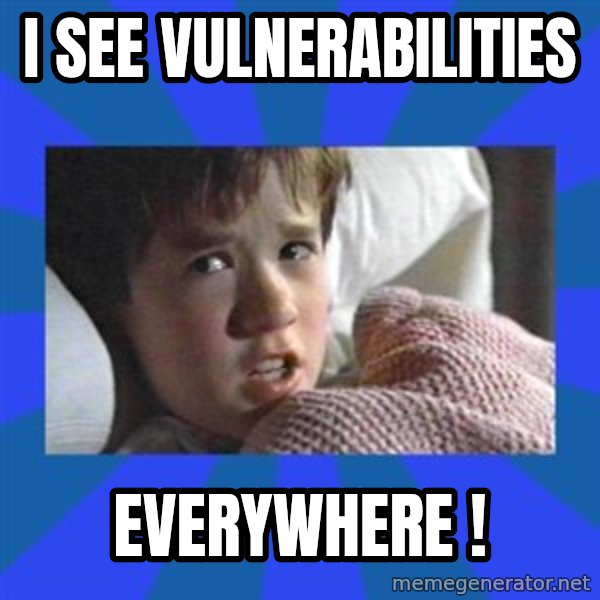 i see dead people meme: I see vulnerabilities / EVERYWHERE  !