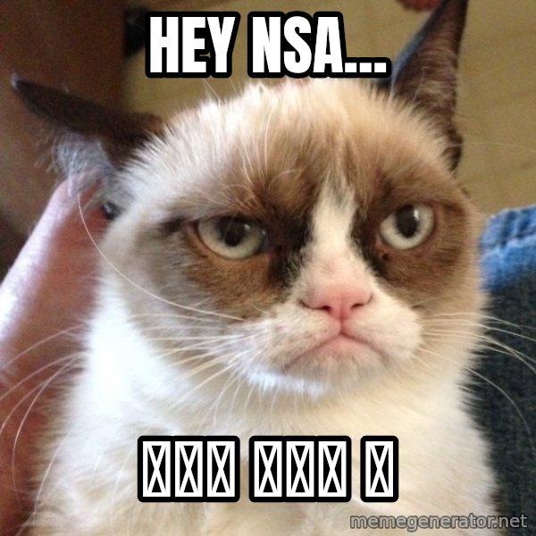 Grumpy Cat 2 meme: Hey NSA... / 지금은 한국어 밈