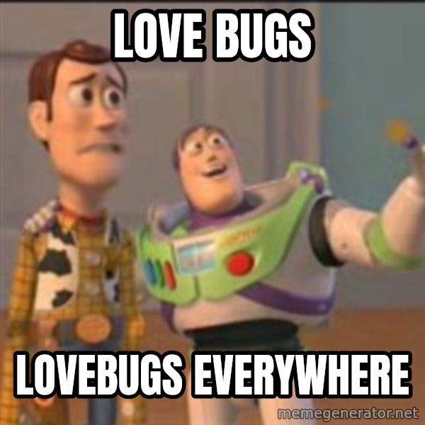 Buzz meme: LOVE BUGS / LOVEBUGS EVERYWHERE