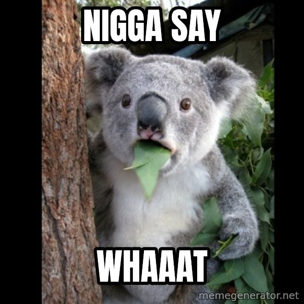 Koala can't believe it meme: nigga say / whaaat