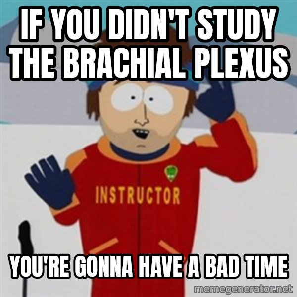 SouthPark Bad Time meme meme: If you didn't study the Brachial Plexus / You're gonna have a bad time