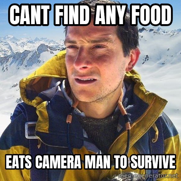 Bear Grylls meme: cant find any food / Eats camera man to Survive