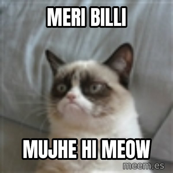 Grumpy Cat ={ meme: MERI BILLI / MUJHE HI MEOW