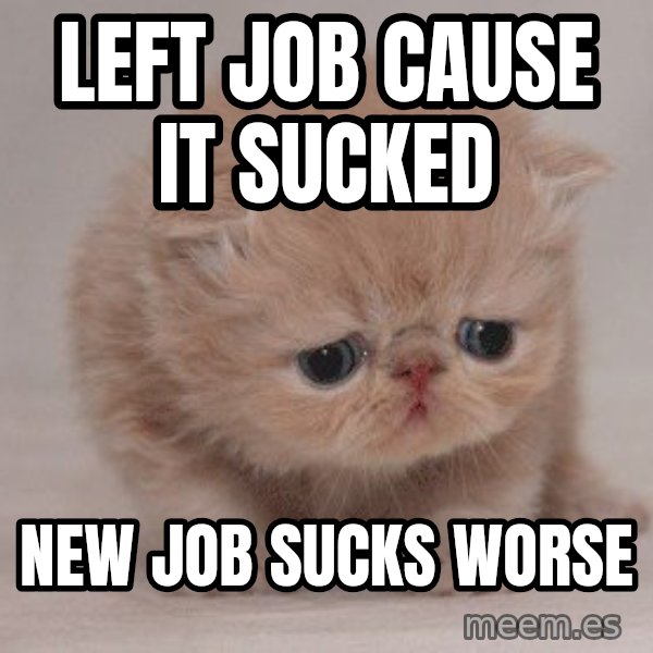 Super Sad Cat meme: Left job cause it sucked / New job sucks worse