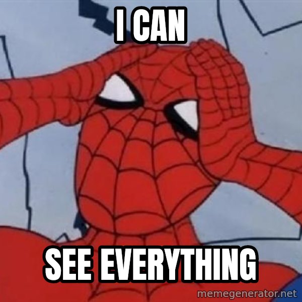Hungover Spiderman meme: i can / see everything