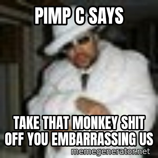 Pimp C meme: Pimp C says / Take that monkey shit off you embarrassing us