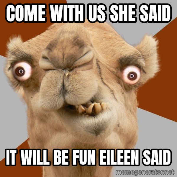 Crazy Camel lol meme: COME WITH US SHE SAID / IT WILL BE FUN EILEEN SAID