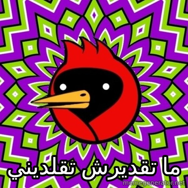 Omsk Crow meme: ما تقديرش تقلديني
