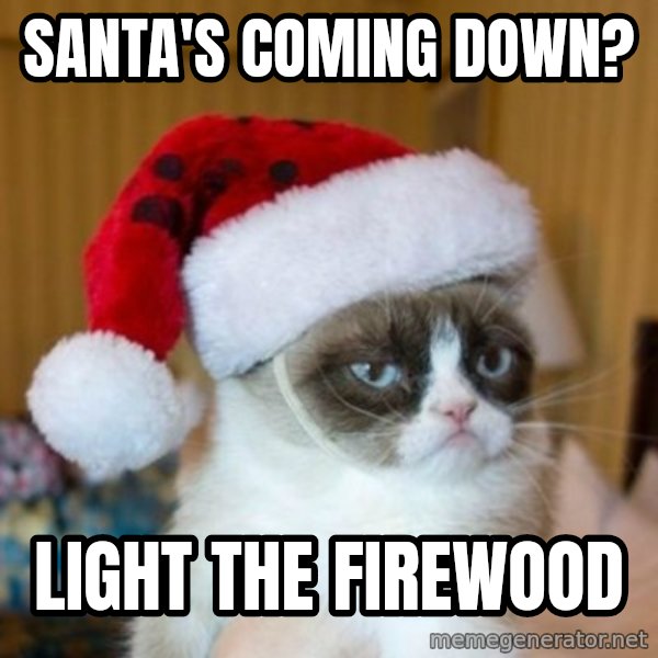 Grumpy Cat Santa Hat meme: santa's coming down? / light the firewood