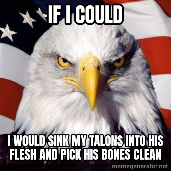 American Pride Eagle meme: if i could / i would sink my talons into his flesh and pick his bones clean