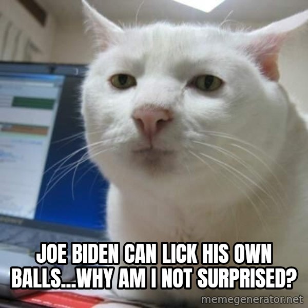 Serious Cat meme: joe biden can lick his own balls...why am i not surprised?