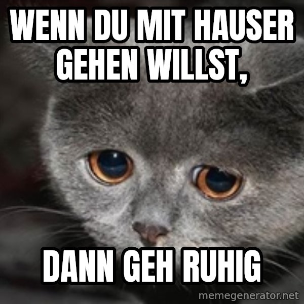 Sadcat meme: Wenn du mit Hauser gehen willst, / dann geh ruhig