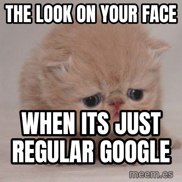 Super Sad Cat meme: The look on your face / when its just regular Google