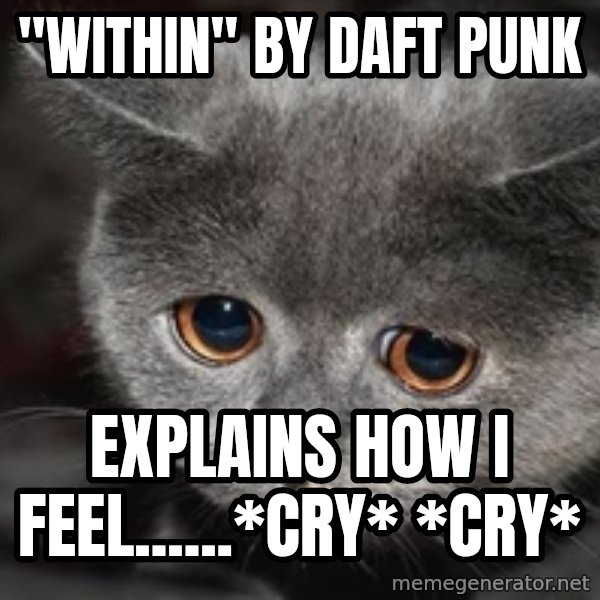 Sadcat meme: "Within" By daft punk / explains how i feel......*cry* *cry*