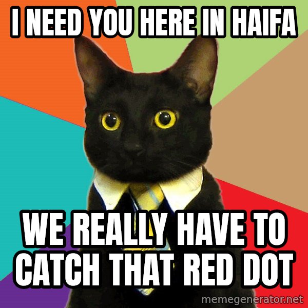 Business Cat meme: I need you here in Haifa / WE REALLY HAVE TO CATCH THAT RED DOT