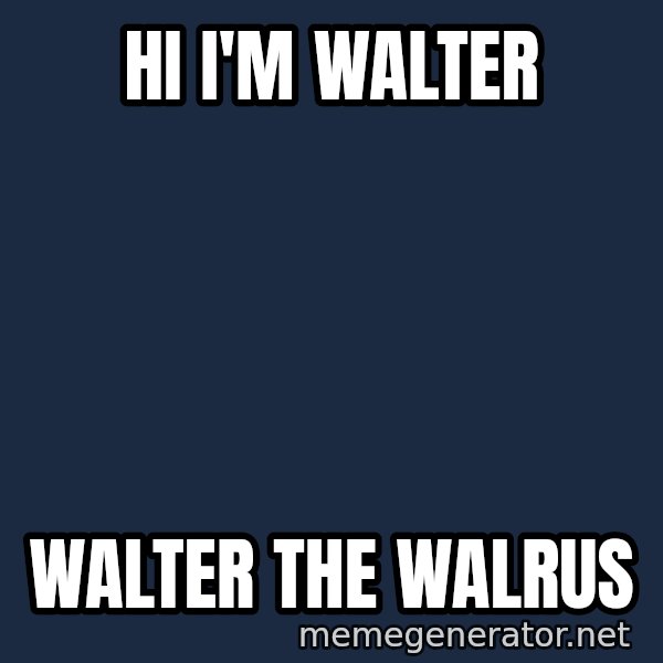 Walrus meme: Hi I'm Walter / Walter the Walrus