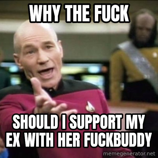Why the fuck meme: why the fuck / should i support my ex with her fuckbuddy