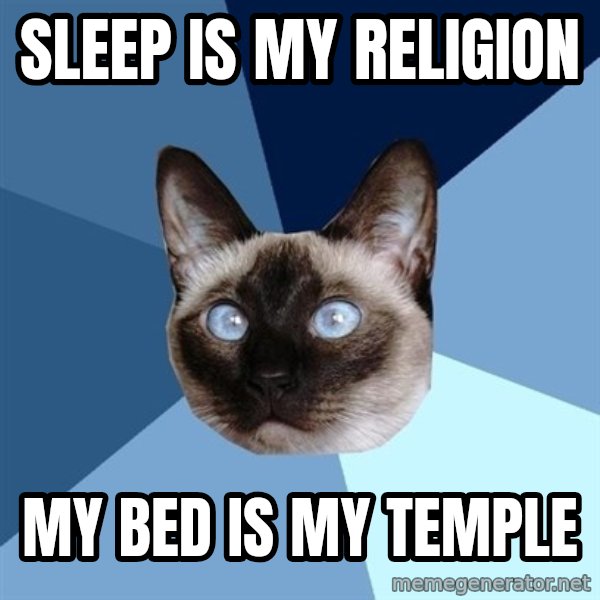 Chronic Illness Cat meme: sleep is my religion / my bed is my temple