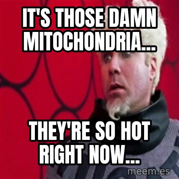 Mugatu  meme: It's those damn Mitochondria... / They're so hot right now...
