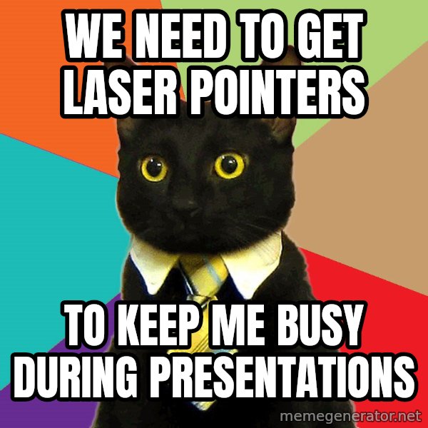 Business Cat meme: We need to get laser pointers / to keep me busy during presentations