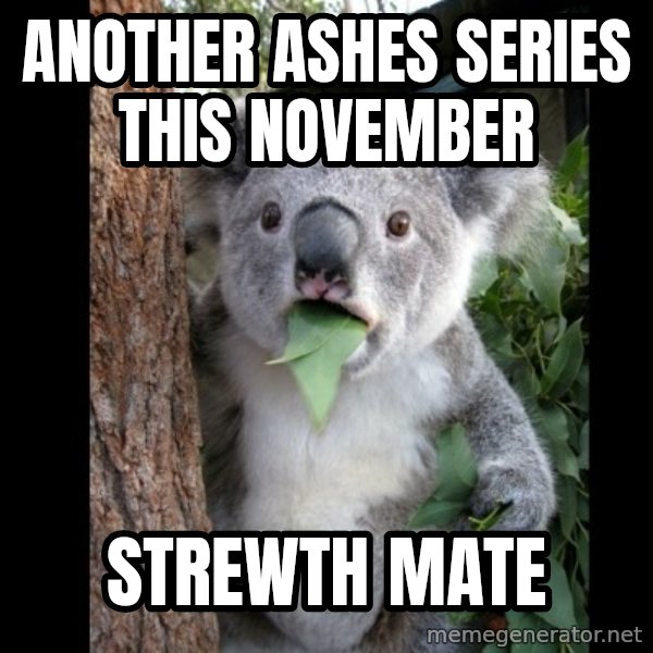 Koala can't believe it meme: Another Ashes series this November / Strewth Mate