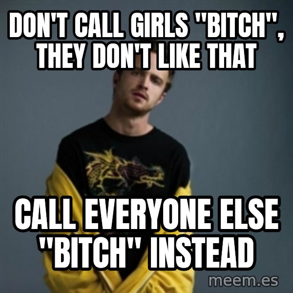 Jesse Pinkman meme: Don't call girls "bitch", they don't like that / call everyone else "bitch" instead