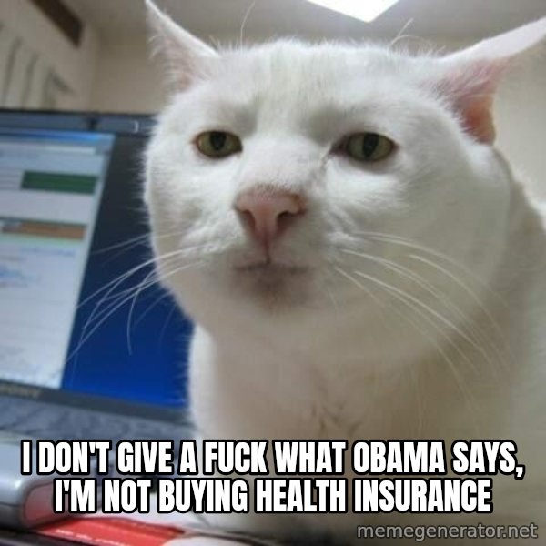 Serious Cat meme: i don't give a fuck what obama says, i'm not buying health insurance