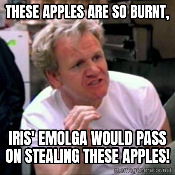 Gordon Ramsay meme: These Apples are so burnt, / iris' Emolga would pass on stealing these apples!