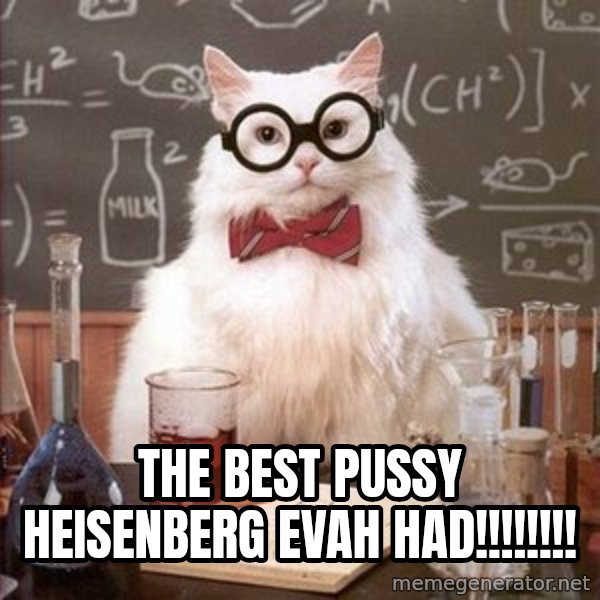 Chemistry Cat meme: the best pussy Heisenberg evah had!!!!!!!!