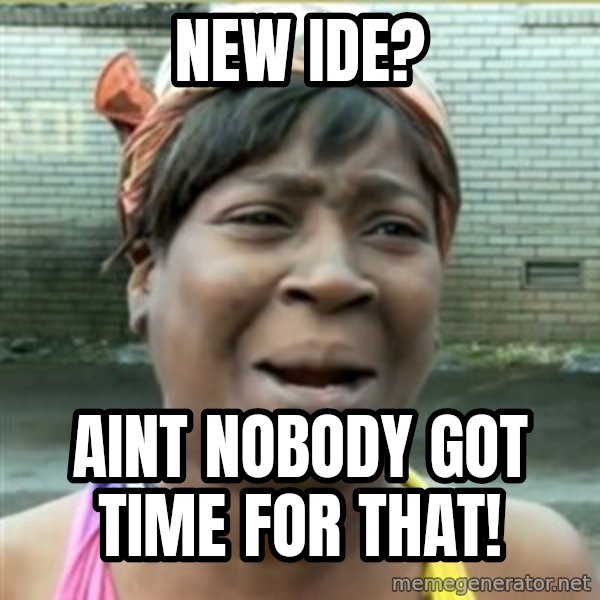 Ain't Nobody got time fo that meme: New IDE? / Aint nobody got time for that!